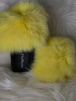 Yellow - Fox Fur